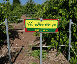אסנת חן - אין יאוש בעולם כלל